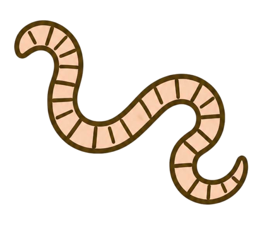 Earthworm activity