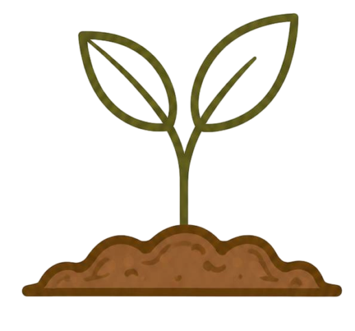 Plant growth and vitality