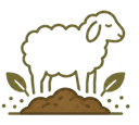 Sheep manure feedstock icon representing ranch organic origin.