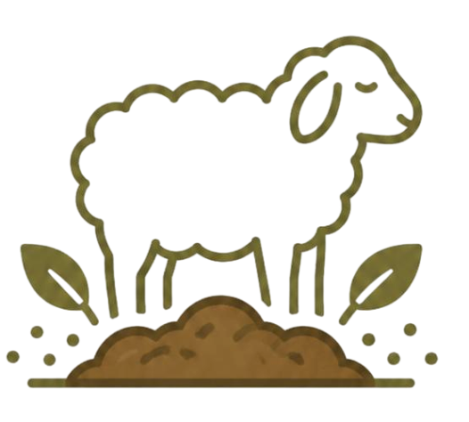 Sheep manure feedstock