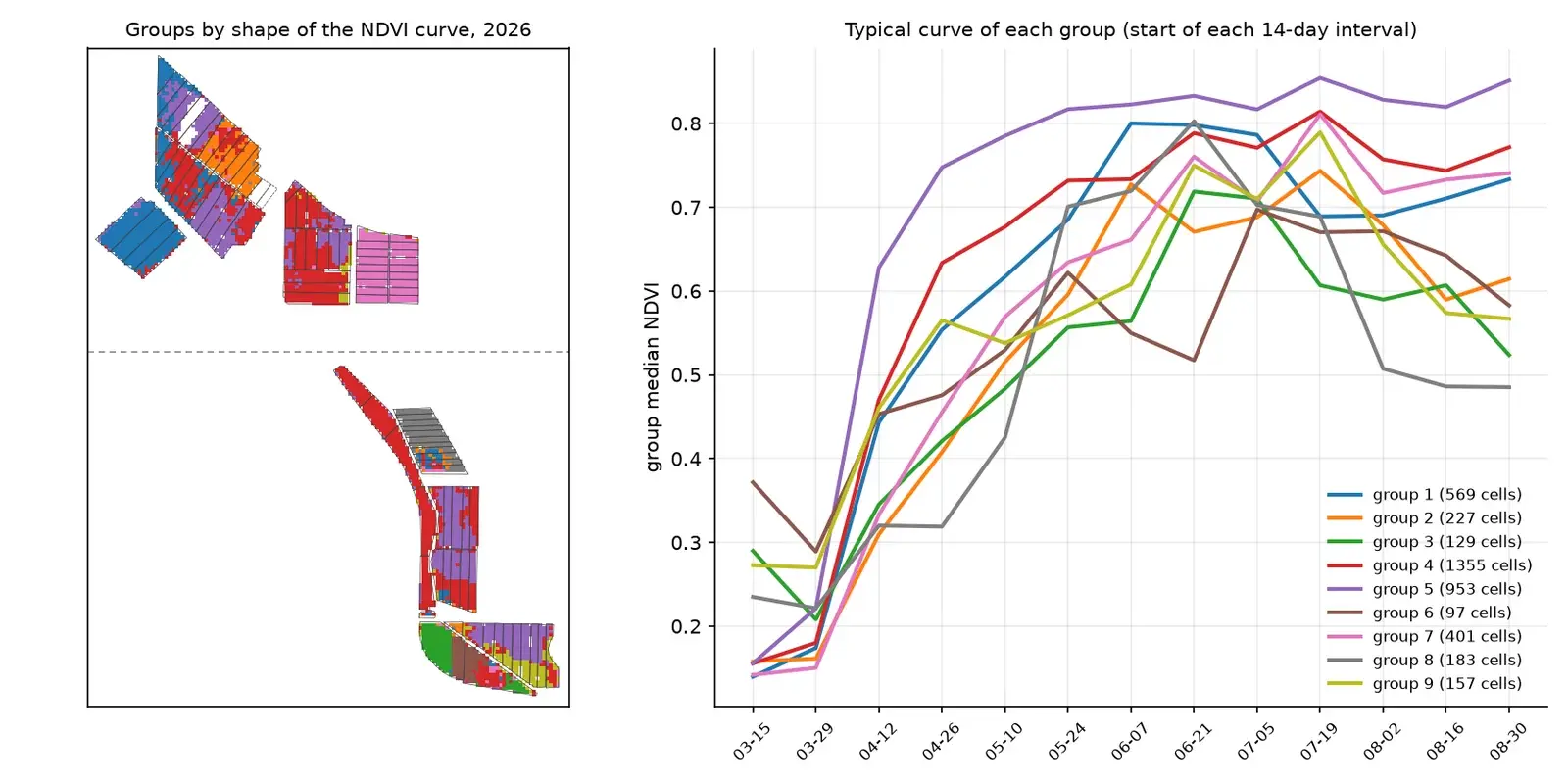 Map of groups by NDVI curve shape and a chart with the typical curve of each group in 2026.