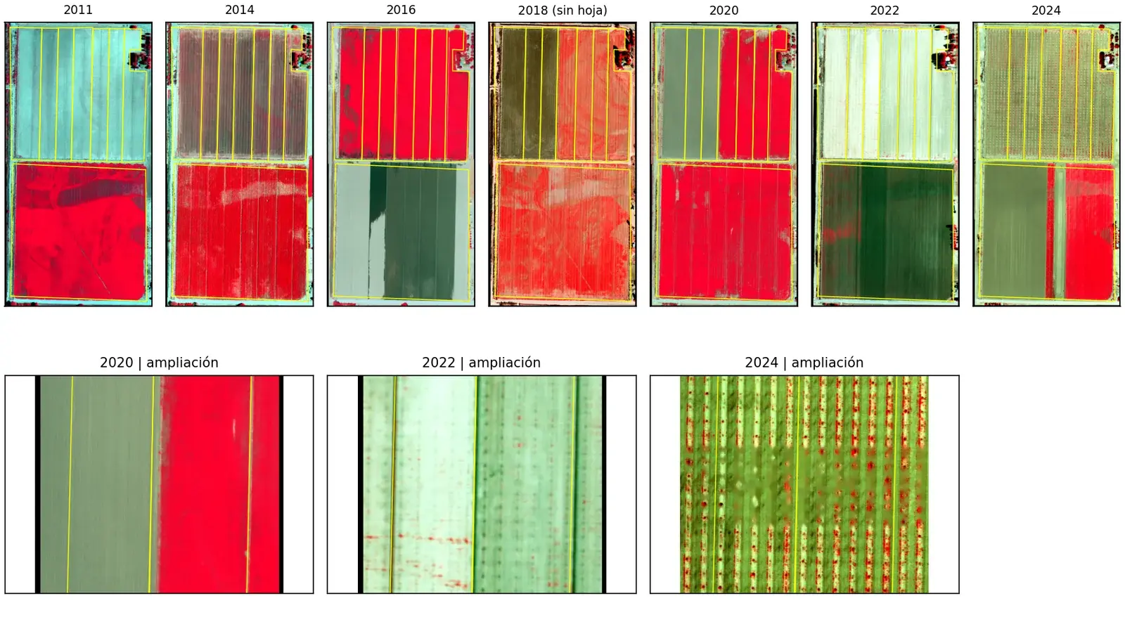 Serie de fotos aéreas en infrarrojo color de 2011 a 2024 y ampliaciones de 2020, 2022 y 2024.