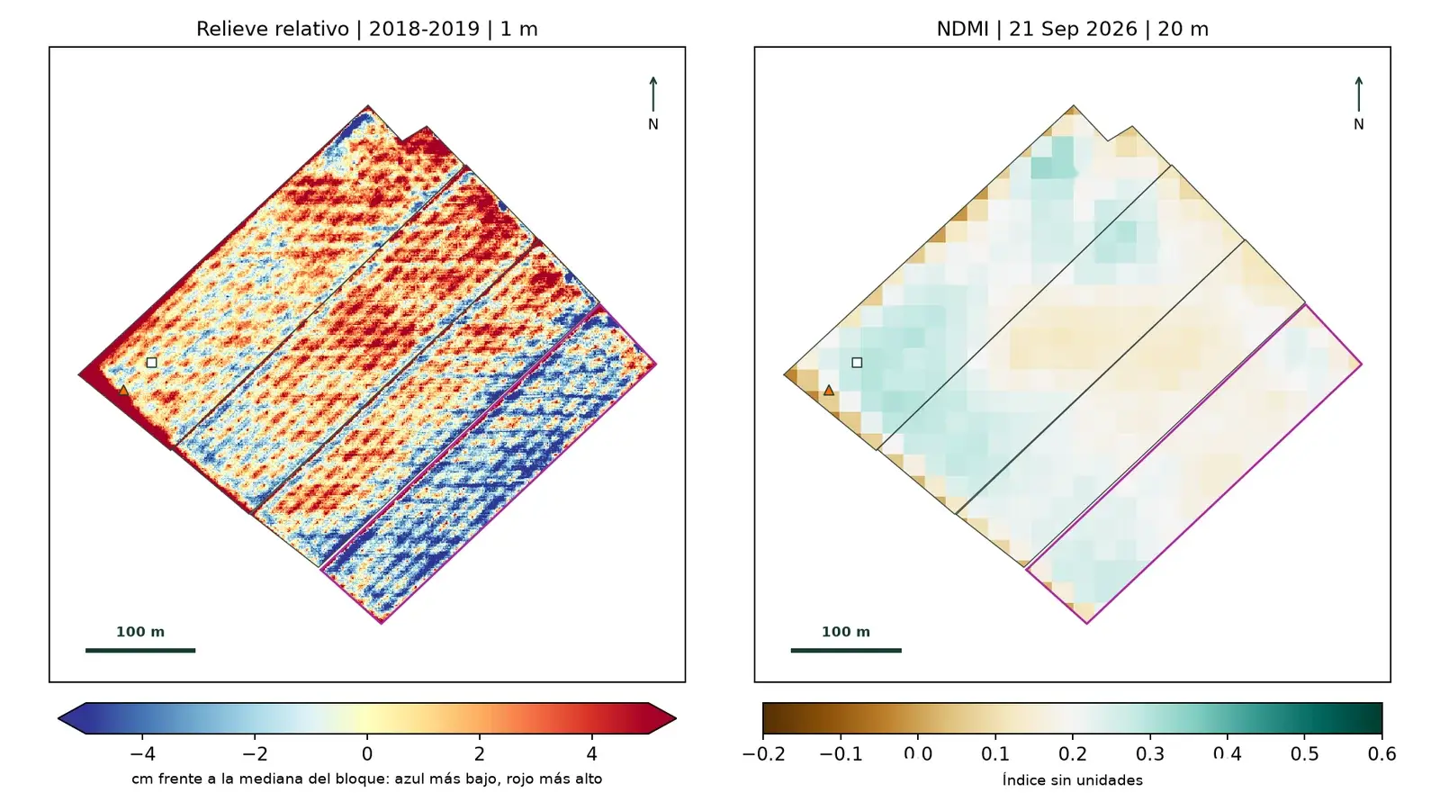 Mapa de relieve relativo LiDAR de 1 m junto al mapa de NDMI del mismo bloque.
