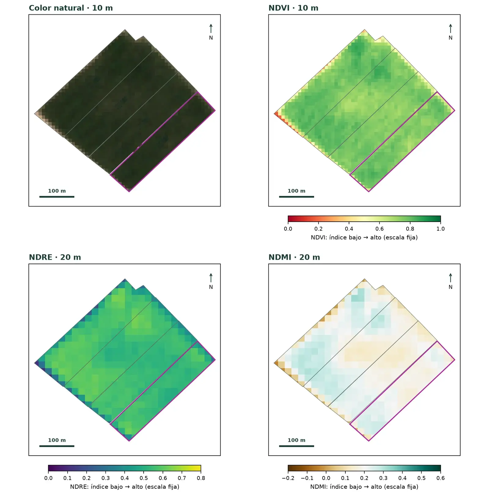 Bloque de nogal en cuatro paneles de Sentinel-2: color natural, NDVI, NDRE y NDMI.